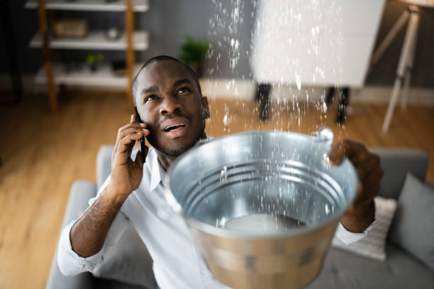 Best Water damage cleanup near me  in Selmont West Selmont, AL