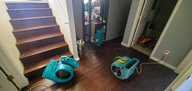 Best Professional water damage repair  in Selmont West Selmont, AL
