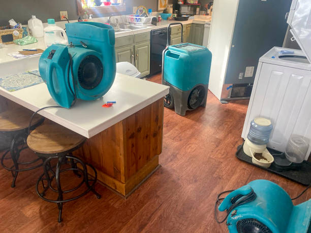 Best 24/7 water damage repair  in Selmont West Selmont, AL