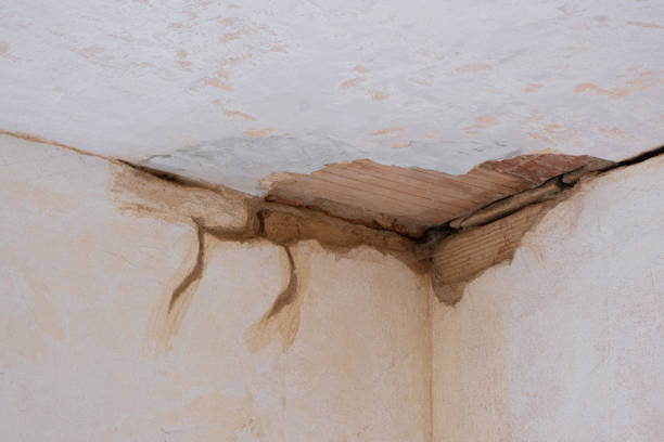 Best Commercial water damage restoration  in Selmont West Selmont, AL
