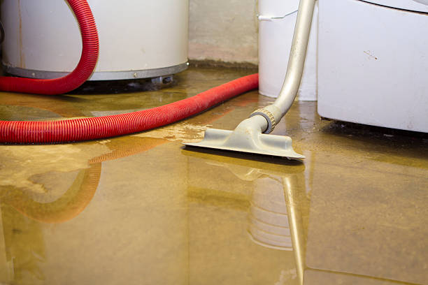 Best 24-hour water damage restoration  in Selmont West Selmont, AL