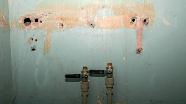 Best Water damage restoration mold remediation  in Selmont West Selmont, AL