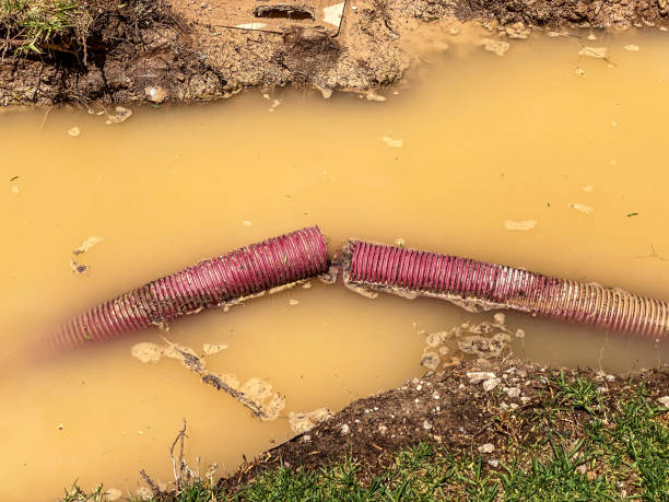 Best Water damage restoration near me  in Selmont West Selmont, AL