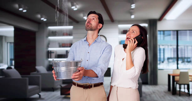 Best Water damage restoration near me  in Selmont West Selmont, AL