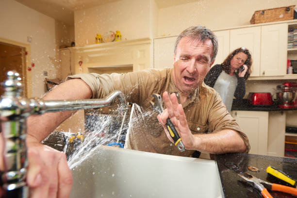 Best Flooded house restoration  in Selmont West Selmont, AL